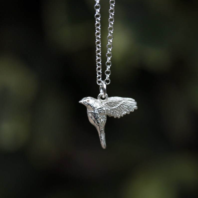 Robin bird silver necklace image 4