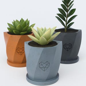Puede incluir: Tres macetas decorativas en naranja, azul y gris, cada una con un diseño de corazón geométrico. Las macetas contienen suculentas y una planta frondosa. Las macetas tienen un diseño en espiral.