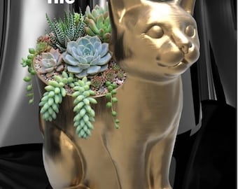 Kattenbloempot STL Succulentenpot 3D-printbaar Feng Shui Kattendecoratie