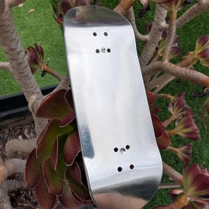May include: A silver fingerboard deck with a brushed metal finish. The deck has four sets of pre-drilled holes for trucks. The fingerboard is displayed against a backdrop of green grass and dark red and green succulent plants.