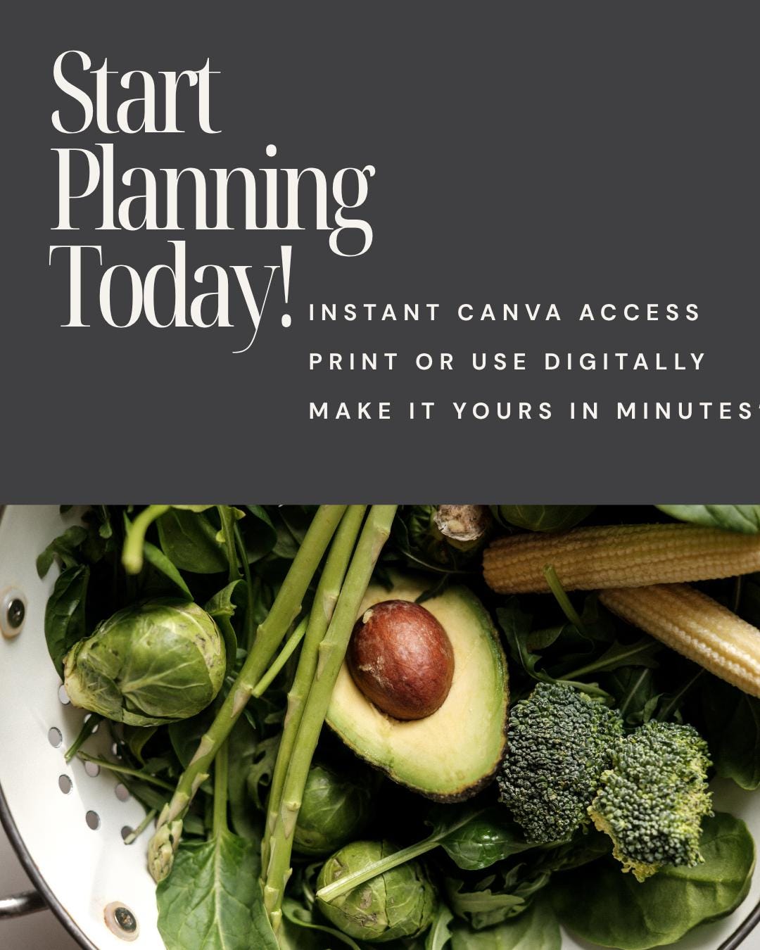 Editable Weight Loss Journal Canva Template: Wellness & Fitness Planner ...