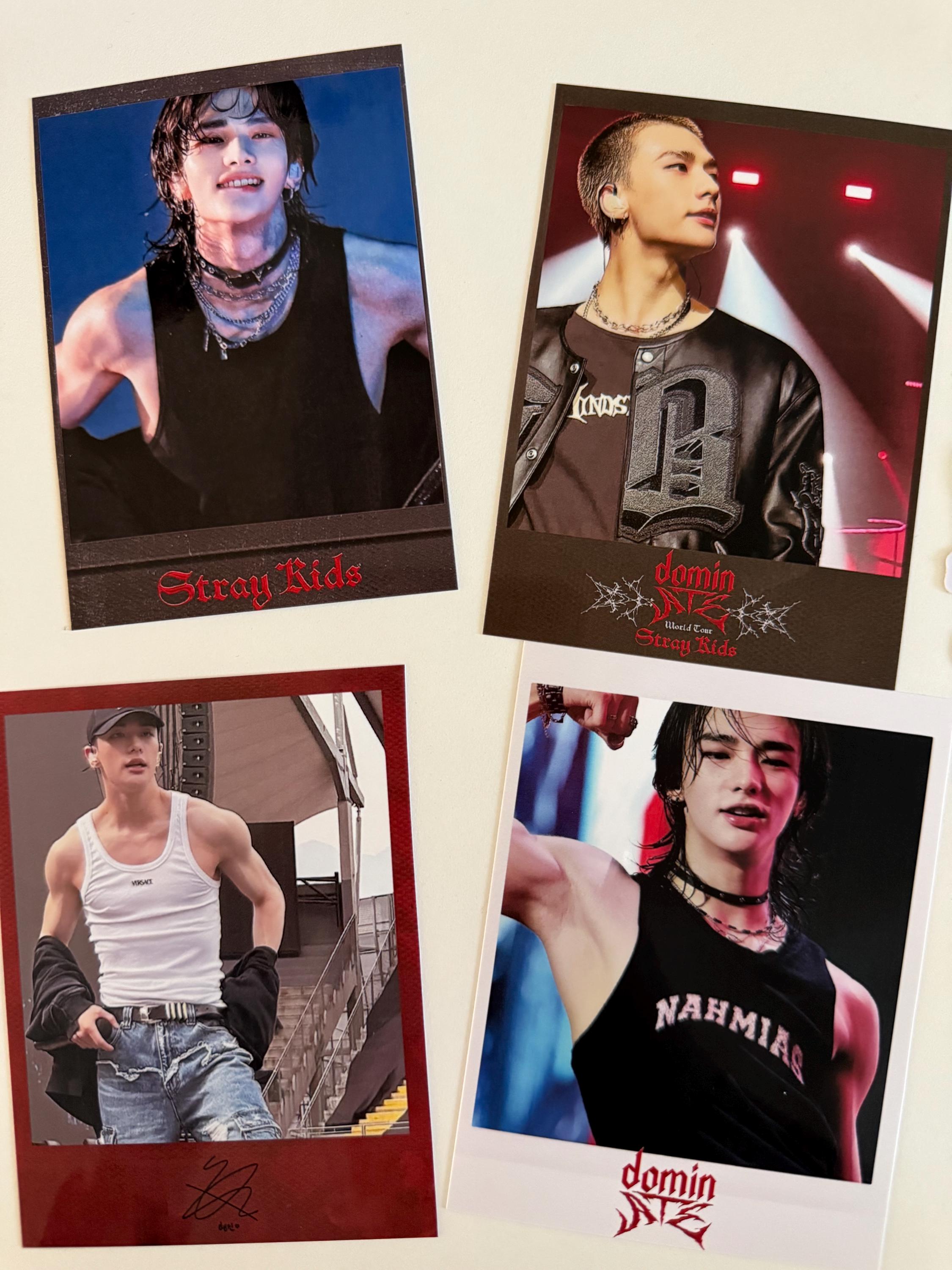 Stray Kids ヒョンジン ポラロイド Stray Kids SKZ Hyunjin Dominate Polaroid Set - Etsy