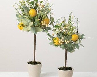 Lemon Tree Topiary Set, Lemon Trees