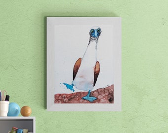 Blue Footed Booby Art Print