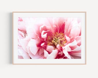 Pink Peony Fine Art Photography Print, Delicate Floral Wall Decor, Flower Nursery Art