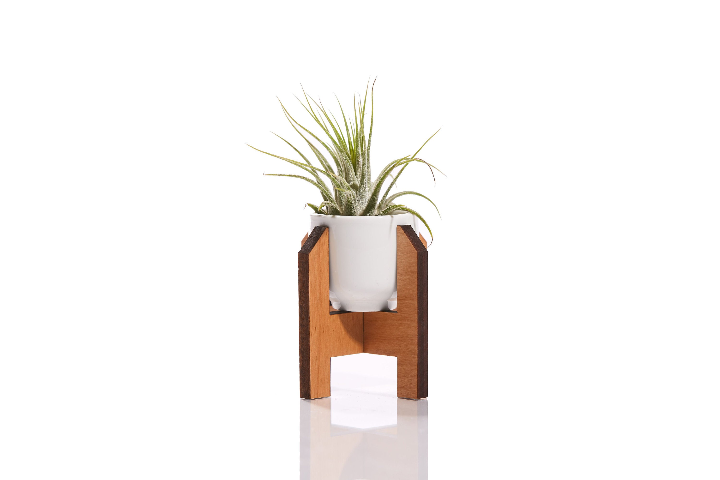 Mini Planter Minimaliste/Céramique et Stand d'usine Moderne en Bois