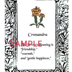 May include: An illustration of a Crossandra flower, featuring orange flowers and green foliage, set within a black and white floral border. The text describes the flower's meaning: friendship, warmth, and gentle happiness.