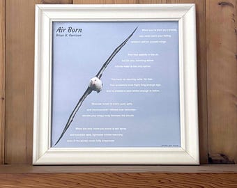 Nata in aria - Poesia ispiratrice sulla maternità con fotografia di un uccello