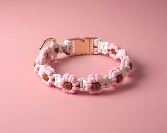 Dog Collar Personalized Dog Collar with Flower Dog Collar Name Engraved Dog Collar Custom Dog Collar for Puppy Collar Gifts for Dog Owner