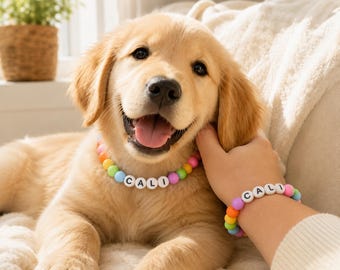 Rainbow Beaded Dog Collar Personalized Pet Collar with Name for Pet Mom Gifts Custom Silicone Bead Friendship Bracelet for Pet Owner Gifts