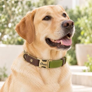 Collar para perro personalizado, collar grabado con correa, ideal para regalar a mamás perrunas. Collar con nombre personalizado para perro, collar de cuero vintage para cachorro nuevo.
