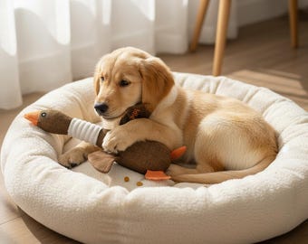 Personalized Dog Toy with Name Embroidered Goose Toy for Dog Birthday Gifts Custom Puppy Toy Squeaky Dog Toy for Dog Christmas Gifts for Pet