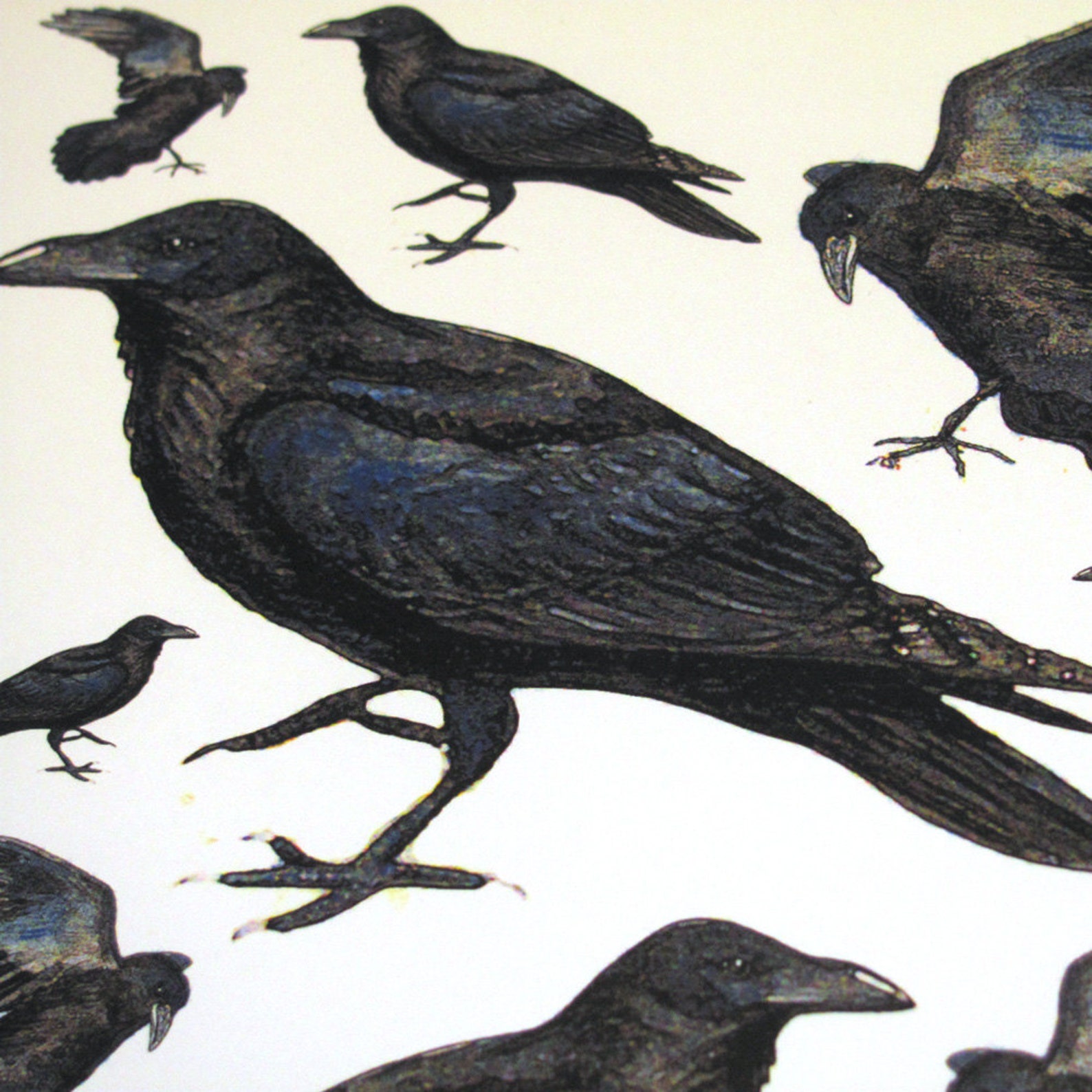 Digital Raven Instant Download Watercolor Page - Etsy