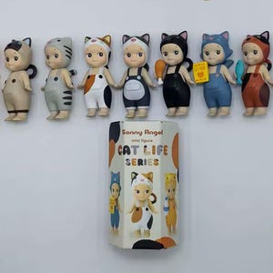 May include: A selection of Sonny Angel mini figures from the Cat Life Series. The figures are dressed in cat-themed outfits, with various colours and accessories. The packaging box is also visible, featuring the series name and illustrations.