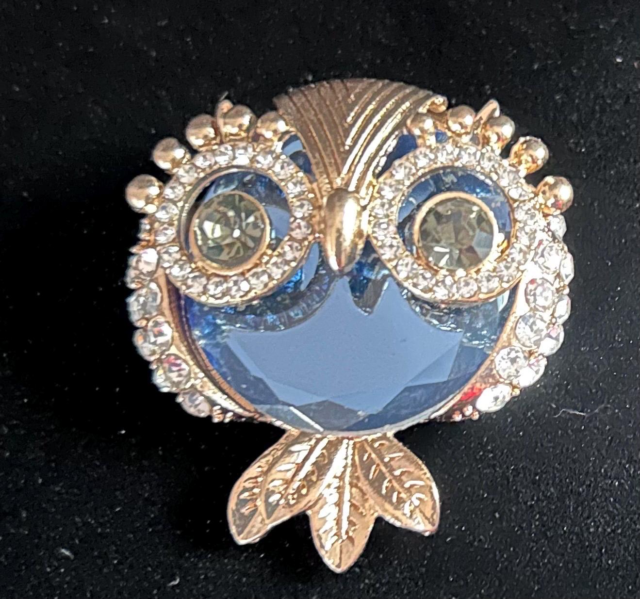 Beautiful Jeweled Blue Owl bag charm/Rubber beach bag/Tote/Multipurpose