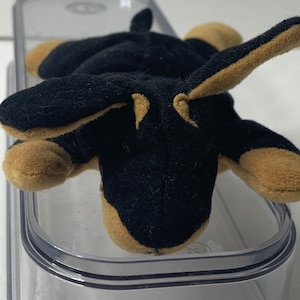 Peluche de cachorro Doberman Teenie Beanie Babies de 5" de largo, modelo Ty Doby, año 1993