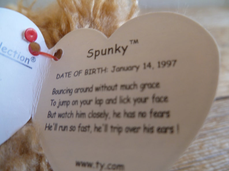 Ty Beanie Babies Plüsch Welpe Hund Spunky W / Tags 9 Long 1997 Stofftier Spielzeug. Bild 7