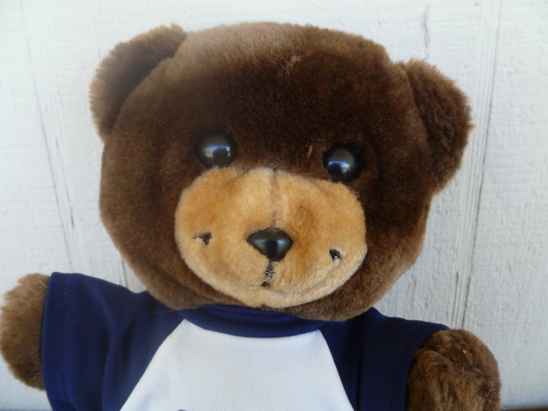 dallas cowboys teddy bear