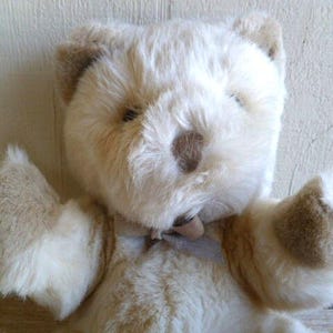 Applause Bravo Plush Bear 10&quot; Tall 1988 Made in Korea Stuffed Animal Toy