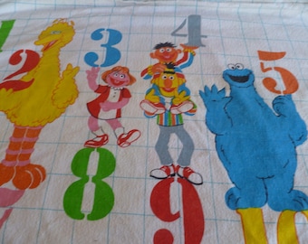 Set of 2 Vintage Sesame Street Pillowcases  Flannel
