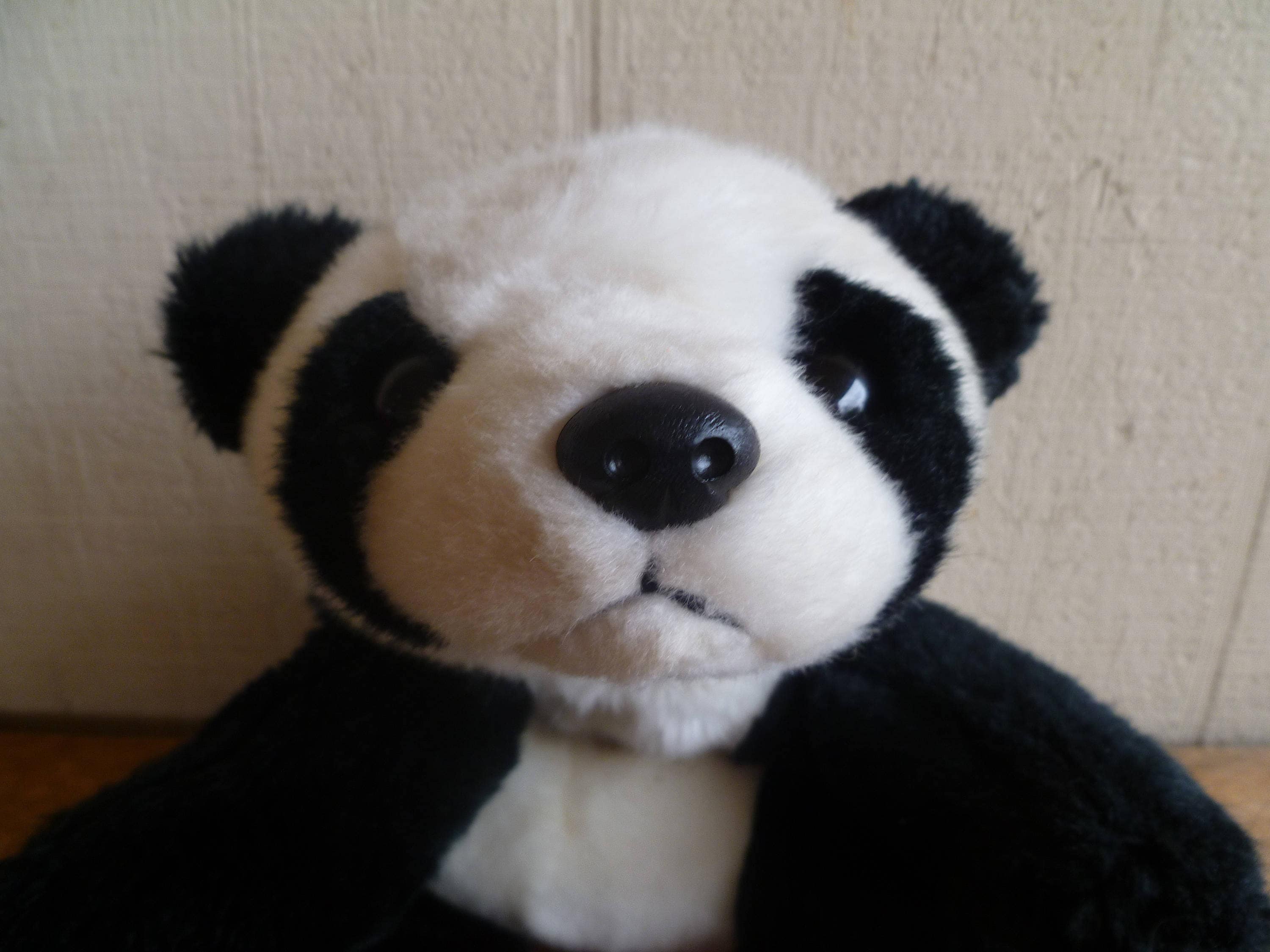 ty toys panda
