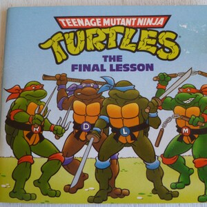 Ninja Turtles Boo  &quot;the Final Lesson &quot; Vintage Collectable TMNT