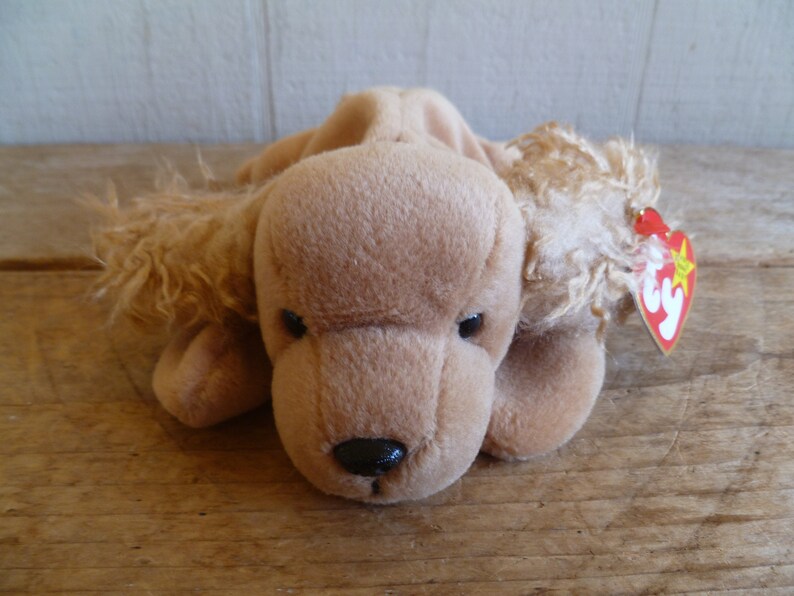 Ty Beanie Babies Plüsch Welpe Hund Spunky W / Tags 9 Long 1997 Stofftier Spielzeug. Bild 1