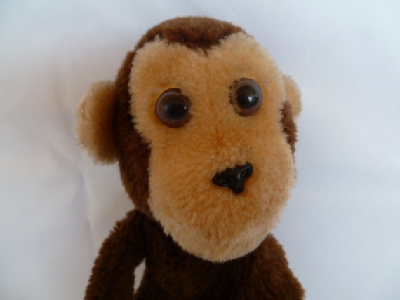 dakin monkey