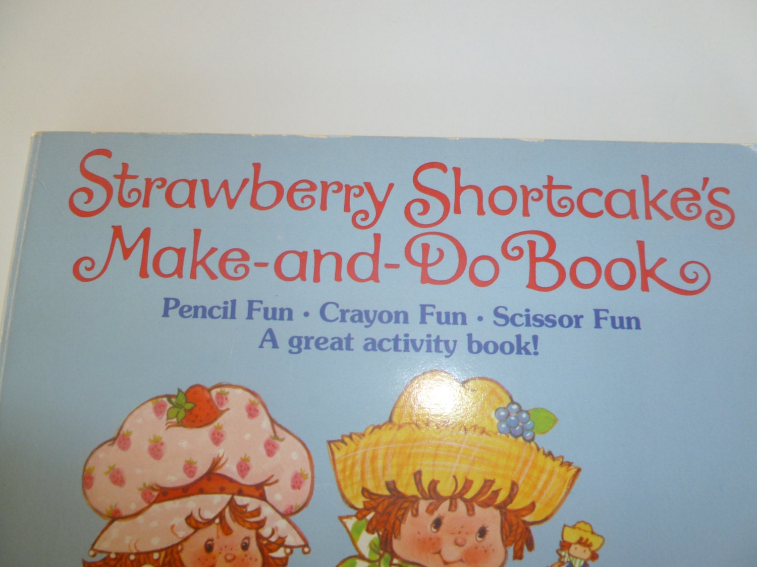 Strawberry Shortcake Make And Do Book Etsy Strawberry shortcake make and do book etsy