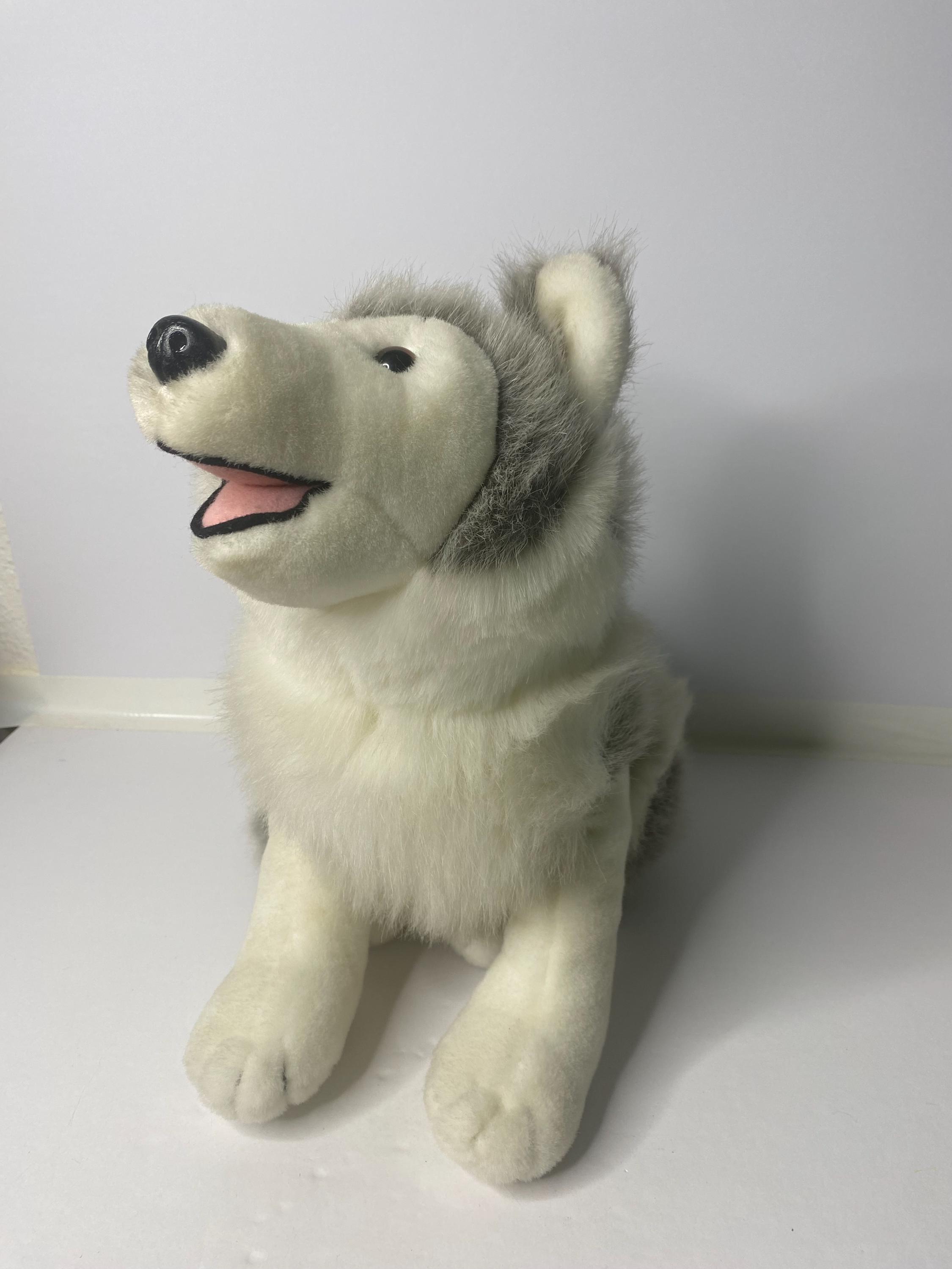 未使用　LP二枚組　DUSTY HUSKY 「WHY NOT」　ダスティハスキー 未使用 LP二枚組 DUSTY HUSKY 「WHY NOT」 ダスティハスキー 未使用 LP