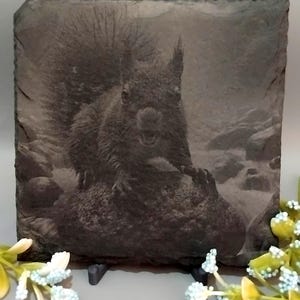 Puede incluir: Un posavasos cuadrado de pizarra con una imagen en escala de grises de una ardilla. La ardilla está representada sobre una roca, con detalles de su pelaje y rasgos faciales. El posavasos está sostenido por un pequeño soporte negro.