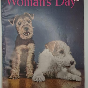 Woman's Day Magazine January 1950 A Raccoon In The Family Vintage Ads