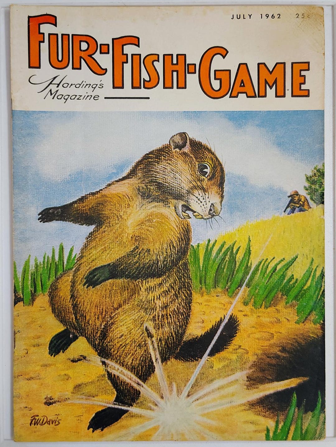 Harding's Fish Vintage Harding's Fur Fish Game Magazine July 1962 Outdoor Hunting ...
