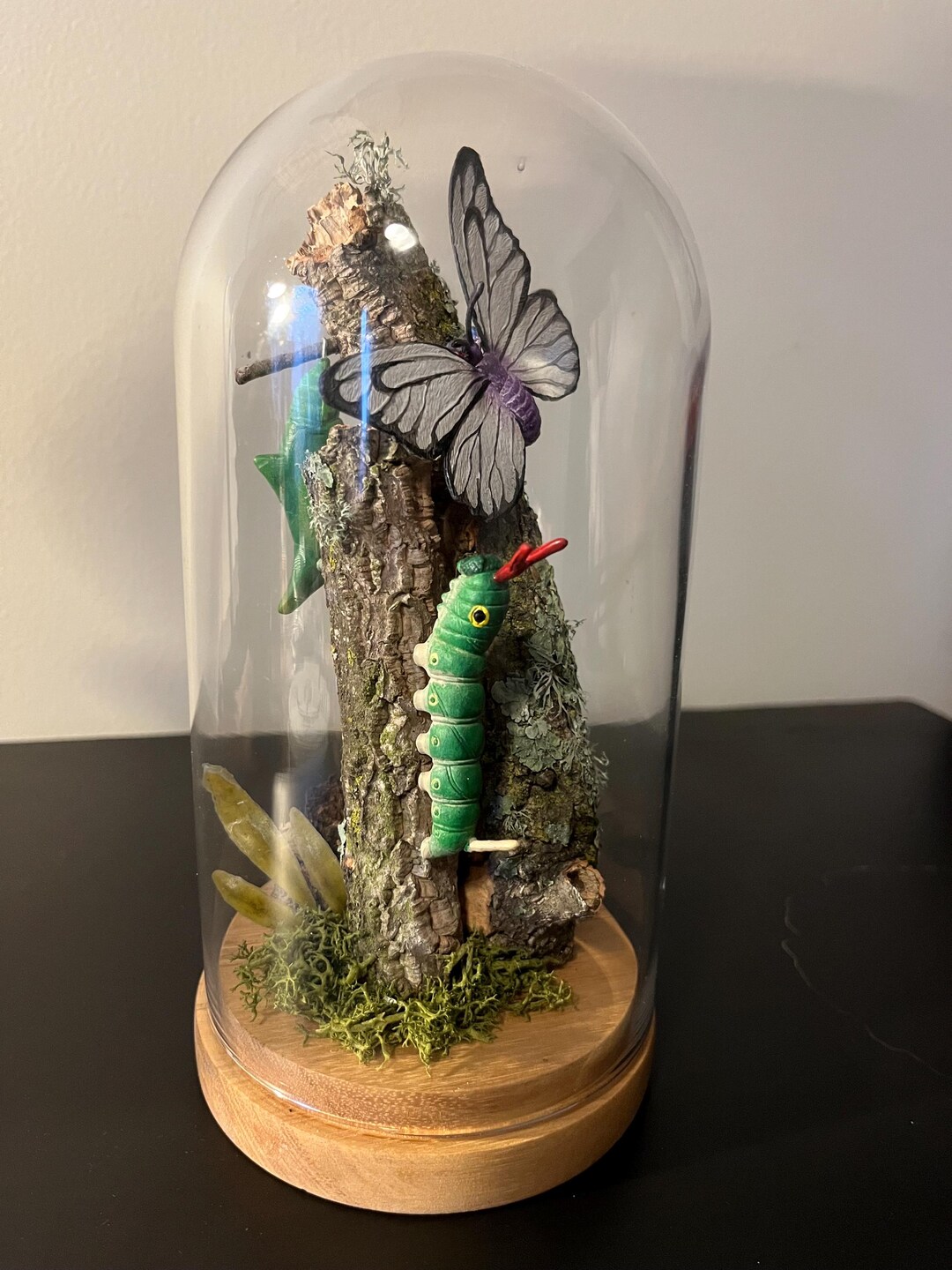 Bug Pokemon Taxidermy Display - Etsy