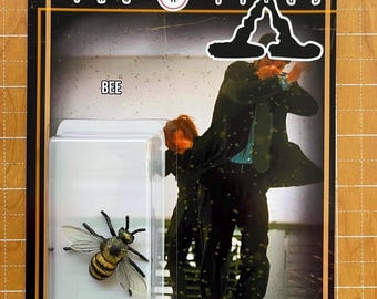X files Bee