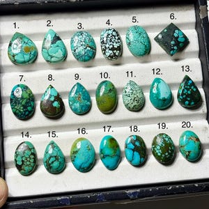 Puede incluir: Una colección de veinte cabujones de turquesa pulidos dispuestos en una bandeja de exhibición, numerados del 1 al 20. Cada piedra preciosa presenta variaciones de color azul y verde únicas con patrones de matriz distintos, incluyendo formas de gota, óvalo y diamante.