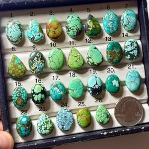 May include: A collection of twenty-six polished turquoise cabochons in various shades of green and blue, featuring unique matrix patterns. The stones are arranged in a numbered display tray next to a standard United States quarter coin for scale.