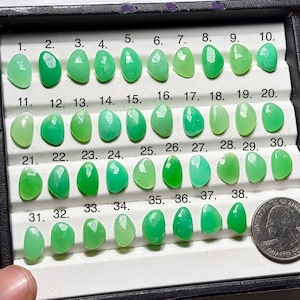 Può includere: Una collezione di 38 cabochon di pietre preziose verdi, ognuno con una forma e una tonalità uniche, disposti in una griglia. Le pietre preziose variano di colore dal verde chiaro allo scuro. Un quarto di dollaro USA è incluso per riferimento.