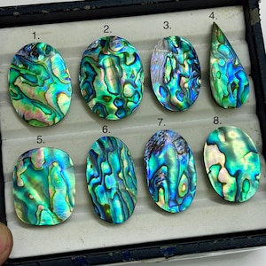 Könnte beinhalten: Eine Sammlung von acht polierten Abalone-Muschel-Cabochons in einer Präsentationsbox. Jedes Stück zeigt irisierende Wirbel in Blau, Grün und Violett. Die Steine sind von 1 bis 8 nummeriert, mit sieben ovalen Formen und einer tropfenförmigen Form.