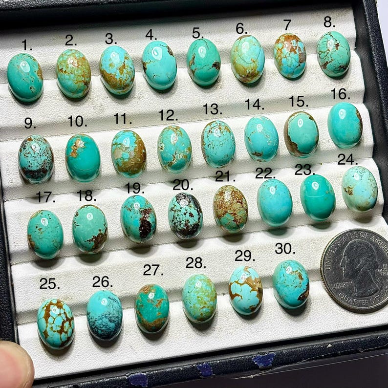 Op de afbeelding: Een verzameling van dertig ovale turkoois cabochons gerangschikt in een zwarte displaytray met genummerde vakjes. De stenen vertonen verschillende tinten blauw en groen met bruine matrixpatronen. Een Amerikaanse kwartmunt is toegevoegd voor schaal.