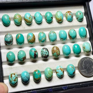 Op de afbeelding: Een verzameling van negenentwintig ovaalvormige turkoois cabochons met vari&euml;rende blauwe en groene tinten en bruine matrixpatronen, gerangschikt in rijen in een zwarte displaydoos naast een Amerikaanse kwartmunt voor schaal.