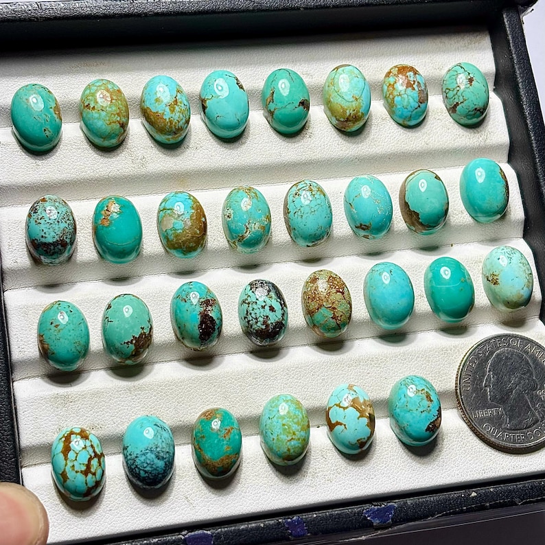 Op de afbeelding: Een verzameling van negenentwintig ovaalvormige turkoois cabochons met vari&euml;rende blauwe en groene tinten en bruine matrixpatronen, gerangschikt in rijen in een zwarte displaydoos naast een Amerikaanse kwartmunt voor schaal.