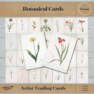 Botanical ATC Cards, Vintage Botanical Artist Trading Cards, 1800s Ephemera, Vintage Scrapbook Paper Pack, Digital Download Collage Sheet