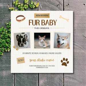 May include: Square advertisement with the text "FUR BABY mini sessions" and images of a dog and cat. The ad includes a brown dog bone, paw prints, and a brown leather collar. The text "NOW BOOKING" is at the top.