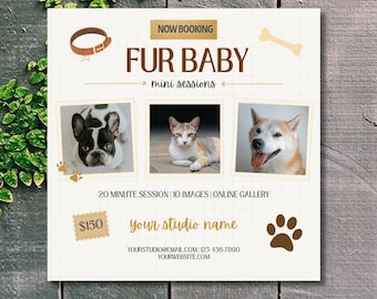 May include: Square advertisement with the text "FUR BABY mini sessions" and images of a dog and cat. The ad includes a brown dog bone, paw prints, and a brown leather collar. The text "NOW BOOKING" is at the top.