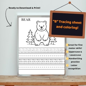 Letter B Tracing Worksheet for Early Learners