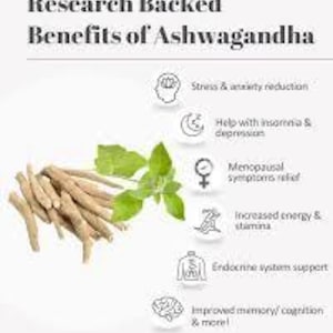 May include: An image showcasing the benefits of Ashwagandha. The image features a pile of dried, beige Ashwagandha roots next to fresh green leaves. Text highlights benefits such as stress reduction, improved sleep, and increased energy. The background is white.