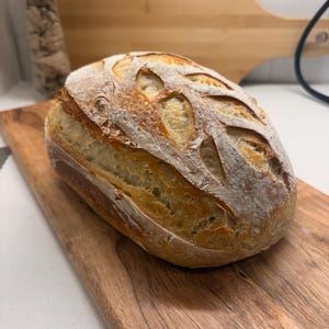 Calgary Dehydrated Sourdough Starter- TRIPLES in size!! image 7