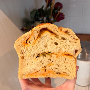 Calgary Dehydrated Sourdough Starter- TRIPLES in size!! image 8