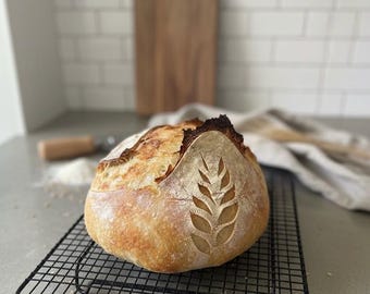 Ricetta per principianti del lievito madre